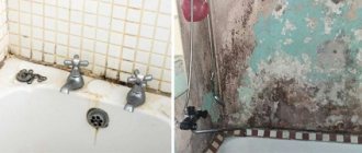 Black mold is dangerous to human health