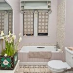Which plants are suitable for a bathroom with solid walls?