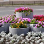 Reliable flower garden made of cement with your own hands: nuances of production beautiful photos